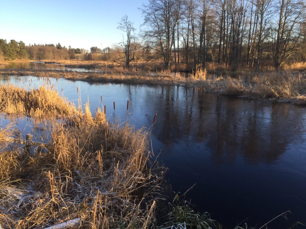 Å fiske med fiskekajak